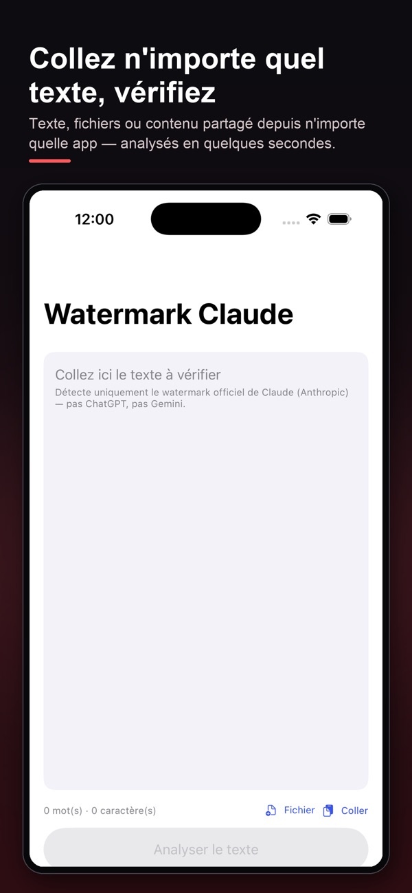 Détecteur de watermark IA — capture 1