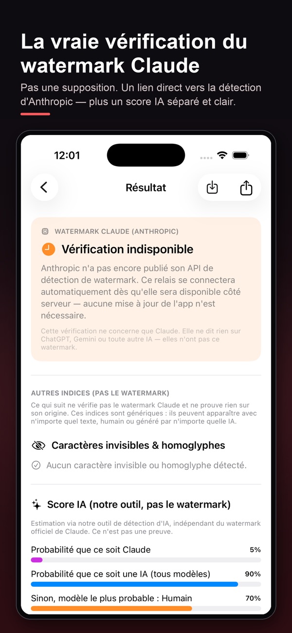 Détecteur de watermark IA — capture 2