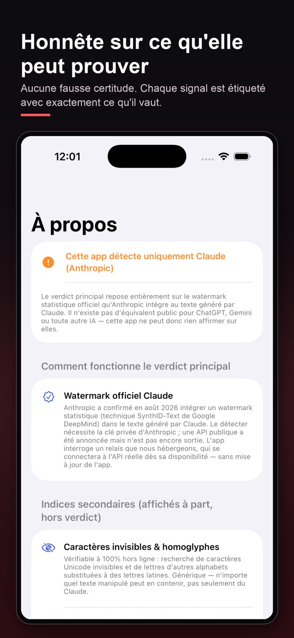 Détecteur de watermark IA — capture 3